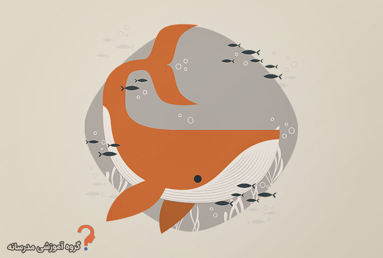 ۱۰۰ حقیقت جالب درباره نهنگ ها برای بچه ها
