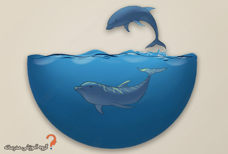 ۵۰ واقعیت های جالب درباره دلفین ها برای کودکان